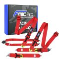 Racing Harness FMIC.Pro FIA 2031 8853-2016 6-Point 3