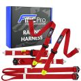 Renngurt Formel-Typ FMIC.Pro FIA 2031 8853-2016 6-Punkt 2