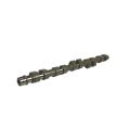 Tuning Exhaust Camshaft Swiatek for Fiat Coupe 2.0T 20v Stage W-1