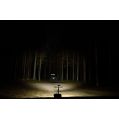 LED Arbeitsscheinwerfer Purelux Panther Alpha 30 15cm 30W 5000K Breitstrahl-3