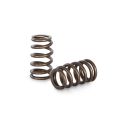 Spring set Beehive Kelford Cams for Mazda L3 2.3 DISI-1