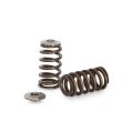 Spring set Beehive and titanium retainers Kelford Cams for Harley V-Rod-1