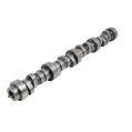 Nockenwelle Kelford Cams für Chevy LS2-3 236/242-1