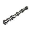 Nockenwellen Kelford Cams für Chevy LS2-3 V8 236/242-1