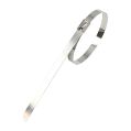 Hose clamp to thermo ties 350mm-2