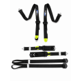 Racing Harness Formula FMIC.Pro FIA 2031 8853-2016 6-Point 2