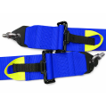 Renngurt FMIC.Pro FIA 2031 8854/98 4-Punkt 3