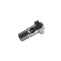 Hohlschraube mit Filter AVCS 14445AA090 für Subaru-1