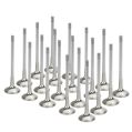Auslassventile Inconel SuperTech für BMW S85 V10-1