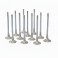 ZRP Std Valves Exhaust Inconel for Audi VW Volkswagen 4.2L R8 32V 8V FSI-1