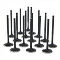 ZRP Standard Einlassventile Black Nitride für Audi VW Volkswagen 4.2L R8 32V FSI-1