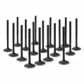 ZRP Std Intake Valves Black Nitride for Lamborghini 5.2L Gallardo Huracan 2008--1