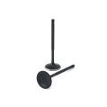 ZRP Std Intake Valves Black Nitride for BMW 1.8L M42-2