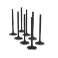 ZRP Std Intake Valves Black Nitride for BMW 1.8L M42-1