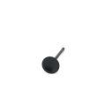 ZRP Standard Einlassventile Black Nitride für BMW 3.0L N55 S55-3