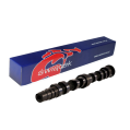 Tuning Exhaust Camshaft Swiatek for VW Polo GT 1.6 16v-1