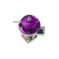 Blow Off Greddy RS style Purple-2