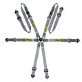 GT2I Sedan Gurtzeug Pro V3 Grau FIA Approved 8853-2016-1