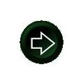 Insert button 15mm B855 green Ecumaster-1