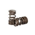Dual Spring set Kelford Cams for Nissan A12-A15-1