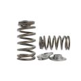 Spring set Beehive and titanium retainers Kelford Cams for Subaru EJ20 EJ25-1