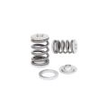 Spring set and titanium retainers Kelford Cams for Nissan RB25DET NVCS-1