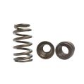 Ventilfedern-Satz Beehive Nitrided Kelford Cams für Chevy LS-1